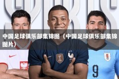 中国足球俱乐部集锦图（中国足球俱乐部集锦图片）