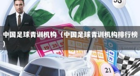 中国足球青训机构（中国足球青训机构排行榜）
