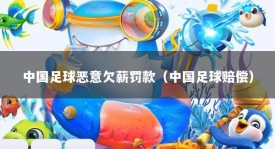 中国足球恶意欠薪罚款（中国足球赔偿）