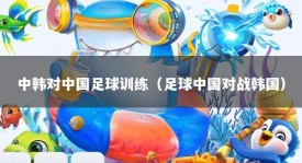中韩对中国足球训练（足球中国对战韩国）