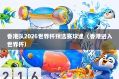 香港队2026世界杯预选赛球迷（香港进入世界杯）
