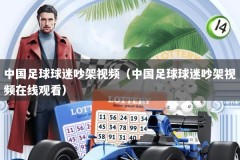 中国足球球迷吵架视频（中国足球球迷吵架视频在线观看）