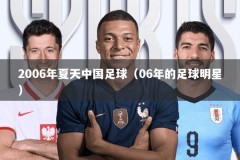 2006年夏天中国足球（06年的足球明星）