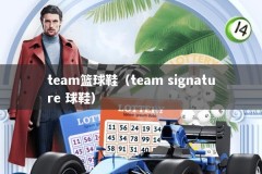 team篮球鞋（team signature 球鞋）