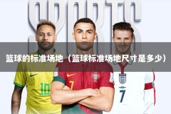 篮球的标准场地（篮球标准场地尺寸是多少）
