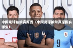 中国足球被禁赛原因（中国足球被禁赛原因有哪些）