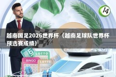 越南国足2026世界杯（越南足球队世界杯预选赛成绩）