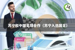 苏宁和中国足球合作（苏宁入选国足）