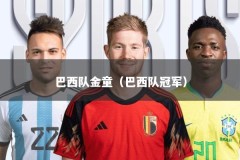 巴西队金童（巴西队冠军）