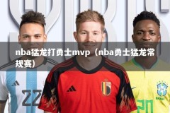 nba猛龙打勇士mvp（nba勇士猛龙常规赛）