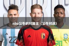 nba公牛的对国王（公牛对战）