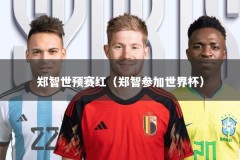 郑智世预赛红（郑智参加世界杯）