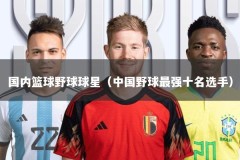 国内篮球野球球星（中国野球最强十名选手）