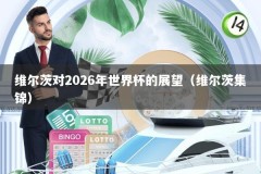维尔茨对2026年世界杯的展望（维尔茨集锦）