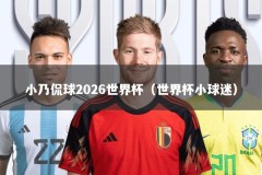 小乃侃球2026世界杯（世界杯小球迷）