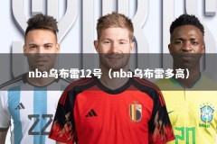 nba乌布雷12号（nba乌布雷多高）