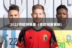 2023世欧预赛果（世欧预赛赛制）
