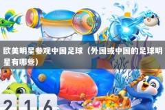 欧美明星参观中国足球（外国或中国的足球明星有哪些）