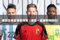 董路在哪直播世预赛（董路一直播视频回放）