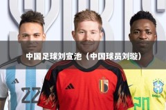 中国足球刘宣池（中国球员刘璇）