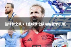 篮球梦之队3（篮球梦之队破解版单机版）