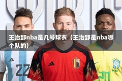 王治郅nba是几号球衣（王治郅是nba哪个队的）