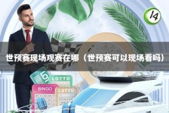 世预赛现场观赛在哪（世预赛可以现场看吗）