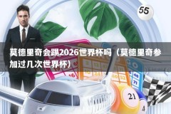 莫德里奇会踢2026世界杯吗（莫德里奇参加过几次世界杯）
