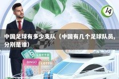 中国足球有多少支队（中国有几个足球队员,分别是谁）