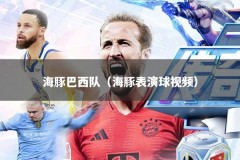 海豚巴西队（海豚表演球视频）