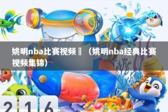 姚明nba比赛视频囧（姚明nba经典比赛视频集锦）