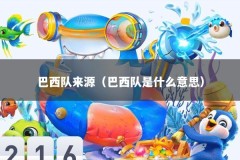 巴西队来源（巴西队是什么意思）
