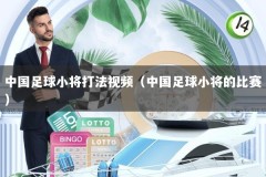 中国足球小将打法视频（中国足球小将的比赛）