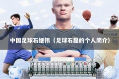 中国足球石继伟（足球石磊的个人简介）