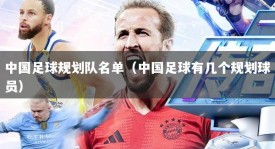 中国足球规划队名单（中国足球有几个规划球员）