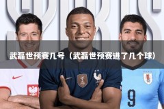 武磊世预赛几号（武磊世预赛进了几个球）