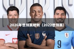 2026年世预赛规则（2022世预赛）