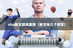 nba鲍文搞笑集锦（鲍文有几个冠军）