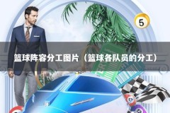 篮球阵容分工图片（篮球各队员的分工）