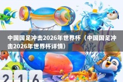 中国国足冲击2026年世界杯（中国国足冲击2026年世界杯详情）