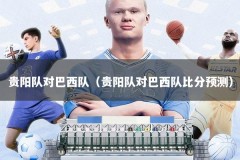 贵阳队对巴西队（贵阳队对巴西队比分预测）