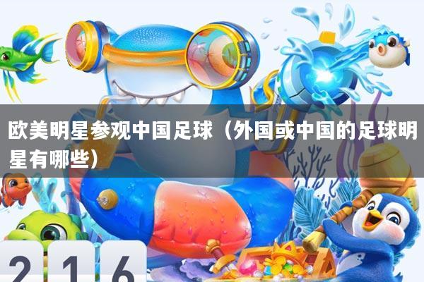欧美明星参观中国足球(外国或中国的足球明星有哪些)