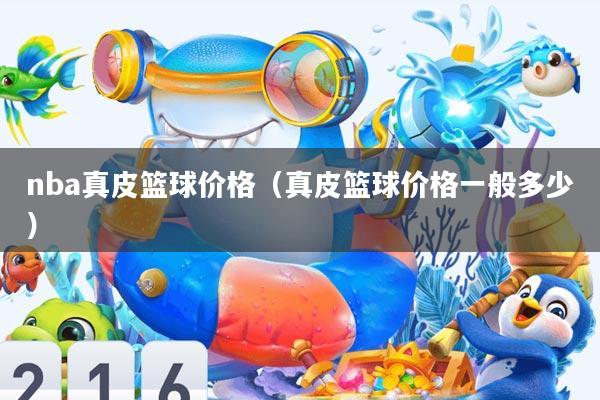 nba真皮篮球价格(真皮篮球价格一般多少)