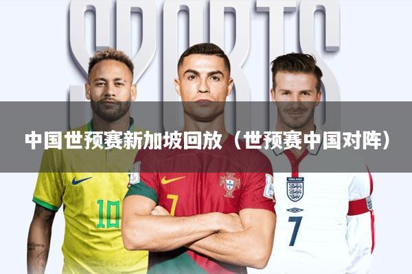 中国世预赛新加坡回放(世预赛中国对阵)